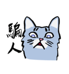 Mandarin Tabby（個別スタンプ：9）