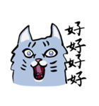 Mandarin Tabby（個別スタンプ：11）