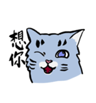 Mandarin Tabby（個別スタンプ：12）
