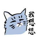 Mandarin Tabby（個別スタンプ：13）