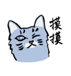 Mandarin Tabby（個別スタンプ：16）