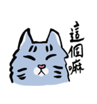 Mandarin Tabby（個別スタンプ：19）