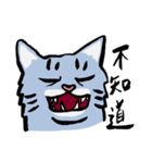 Mandarin Tabby（個別スタンプ：23）