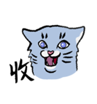 Mandarin Tabby（個別スタンプ：24）