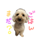 もこもこたいむ✴︎①（個別スタンプ：1）