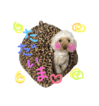 もこもこたいむ✴︎①（個別スタンプ：2）