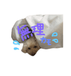 もこもこたいむ✴︎①（個別スタンプ：12）