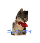 プリシラ   part1（個別スタンプ：2）