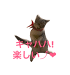 プリシラ   part1（個別スタンプ：8）