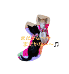 チワワのれおぱこぴー①（個別スタンプ：10）