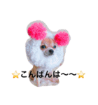 チワワのれおぱこぴー①（個別スタンプ：18）