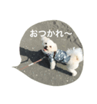 ゆきち①（個別スタンプ：1）