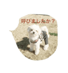 ゆきち①（個別スタンプ：5）