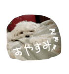 ゆきち①（個別スタンプ：8）