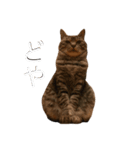 ソルトとペッパー（個別スタンプ：4）