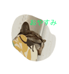 ルナの毎日（個別スタンプ：13）