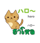 元気な猫日本語タイ語（個別スタンプ：2）