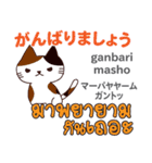 元気な猫日本語タイ語（個別スタンプ：3）