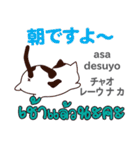 元気な猫日本語タイ語（個別スタンプ：5）