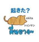 元気な猫日本語タイ語（個別スタンプ：6）