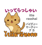 元気な猫日本語タイ語（個別スタンプ：10）