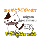 元気な猫日本語タイ語（個別スタンプ：13）