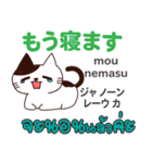元気な猫日本語タイ語（個別スタンプ：17）