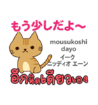 元気な猫日本語タイ語（個別スタンプ：22）