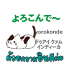 元気な猫日本語タイ語（個別スタンプ：25）