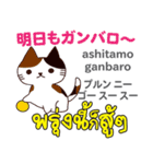 元気な猫日本語タイ語（個別スタンプ：31）