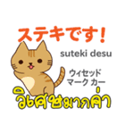 元気な猫日本語タイ語（個別スタンプ：34）