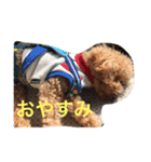 ウチの研ちゃん（個別スタンプ：2）