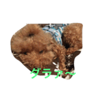 ウチの研ちゃん（個別スタンプ：3）