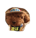 ウチの研ちゃん（個別スタンプ：6）