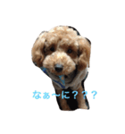ウチの研ちゃん（個別スタンプ：20）