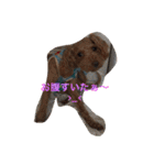 ウチの研ちゃん（個別スタンプ：27）
