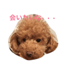 ウチの研ちゃん（個別スタンプ：28）