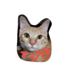 モニャンター（個別スタンプ：8）