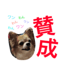 とっきんlife2（個別スタンプ：15）
