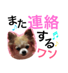 とっきんlife2（個別スタンプ：16）