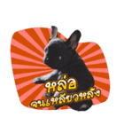 Thonglor is coming（個別スタンプ：4）