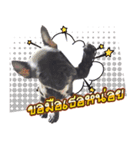 Thonglor is coming（個別スタンプ：6）
