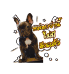 Thonglor is coming（個別スタンプ：12）
