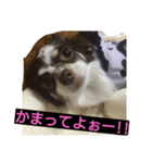 こひめちゃん（個別スタンプ：2）