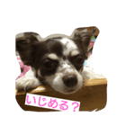 こひめちゃん（個別スタンプ：5）