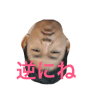 僕のっつ（個別スタンプ：6）
