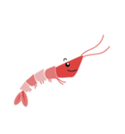 Good Shrimp Shrimp（個別スタンプ：1）