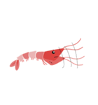 Good Shrimp Shrimp（個別スタンプ：3）