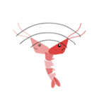 Good Shrimp Shrimp（個別スタンプ：4）