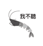 Good Shrimp Shrimp（個別スタンプ：6）